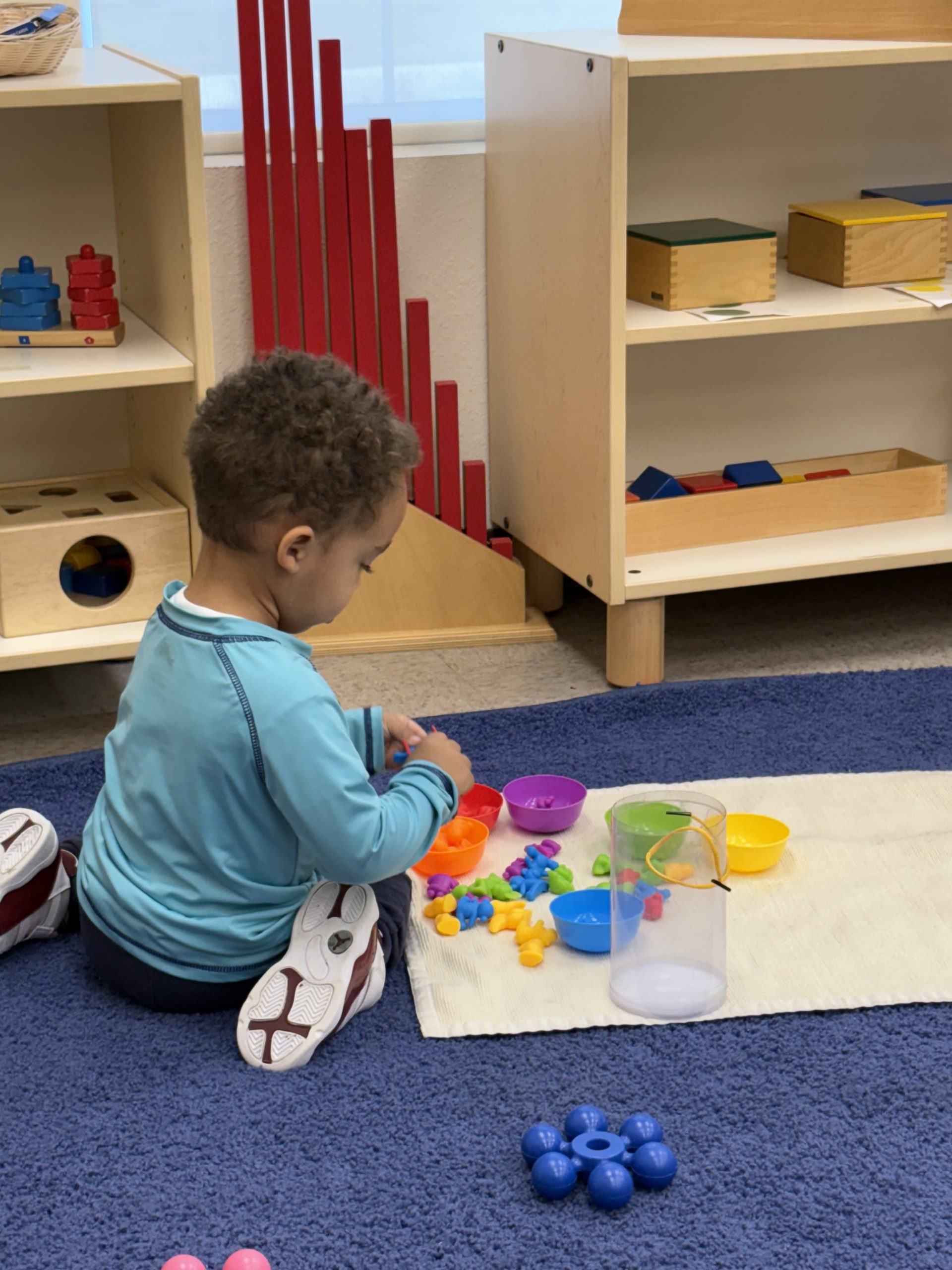 Toddler sorting activity in Montessori school St. Johns County